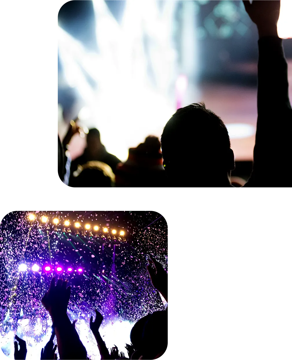 イベントの観客の写真